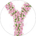 yacsiri goicochea profile picture