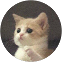 Niracha Chaiyo profile picture